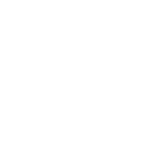 RoBoys